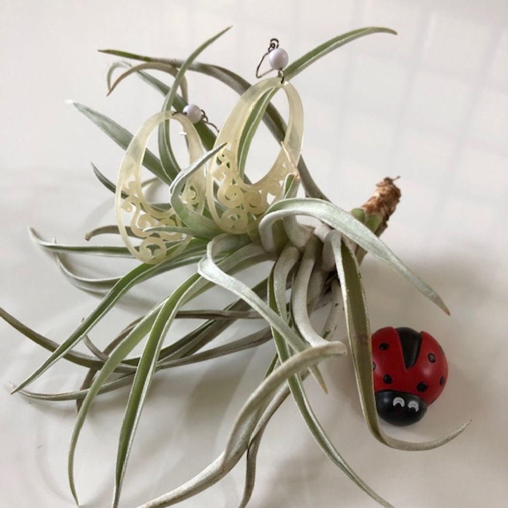 DROP EARRINGS WITH FISH HOOK